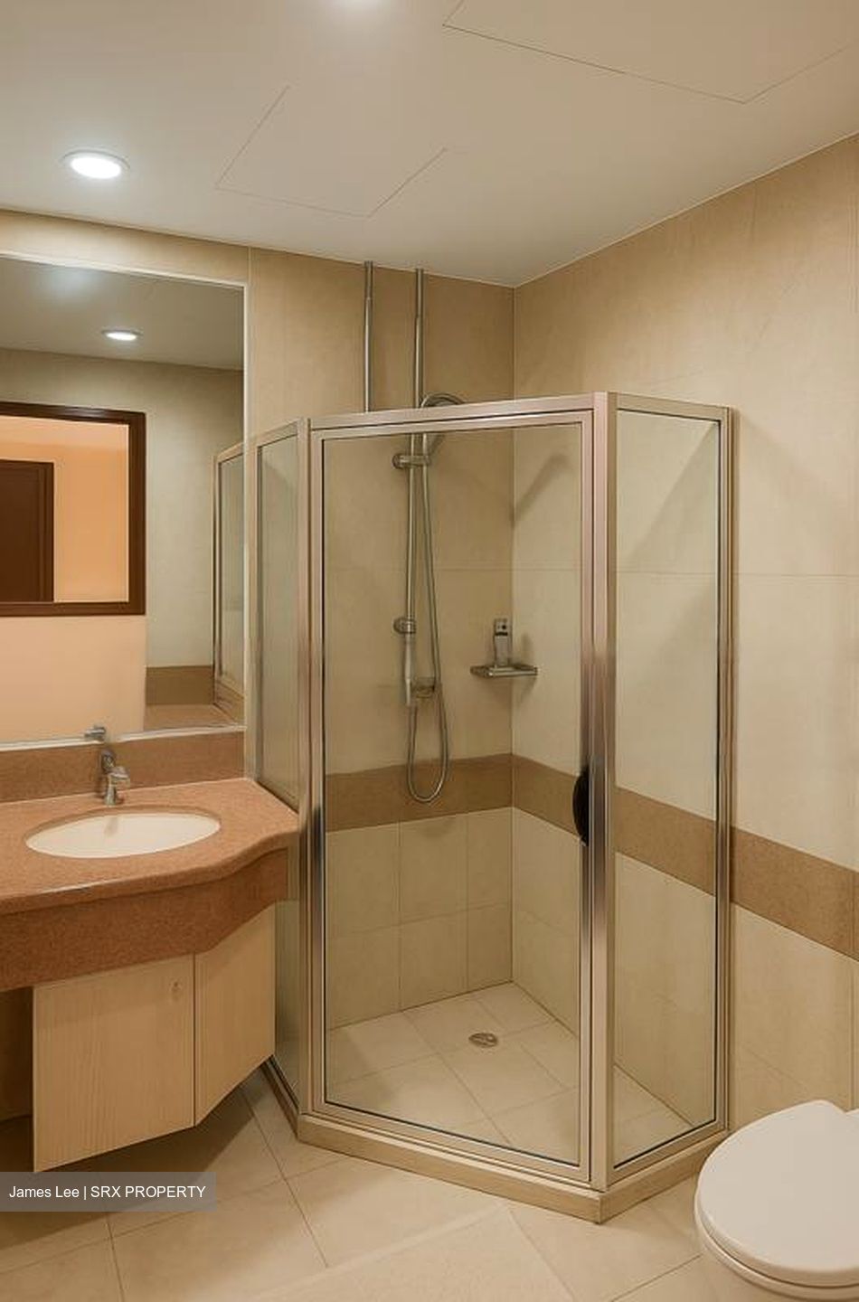 Sunshine Plaza (D7), Apartment #469770961